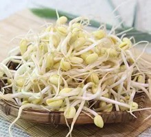 Bean sprouts