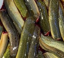 Eel Stir-fry