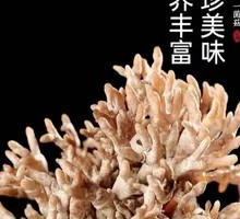 Dragon Claw Mushroom