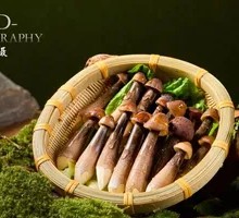 Chicken Mushroom