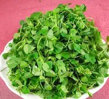 Wild Vegetables Vary with Seasons