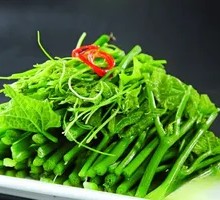 Chayote Shoots