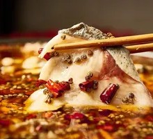 Spring Water Tilapia