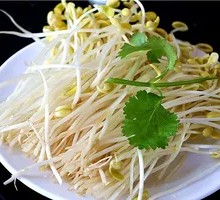 Bean sprouts