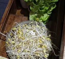 Bean sprouts