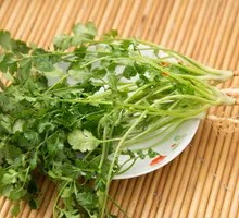 Cilantro
