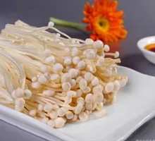 Your Enoki Mushroom