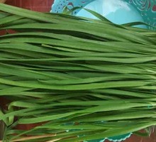 Leek