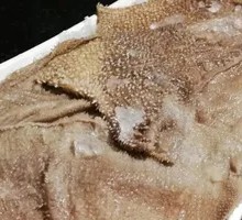 Tripe
