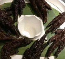 Chicken Feet