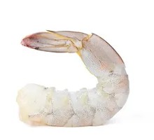 Fresh Shrimp