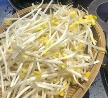 Well Water Bean Sprouts