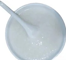 Rice Porridge