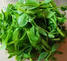 Pea Shoots