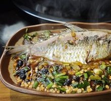 Wild Crucian Carp