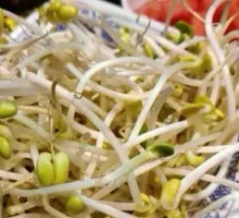 Bean sprouts