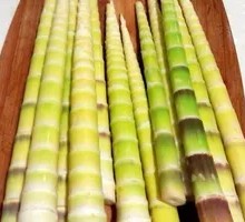 Bamboo Shoot