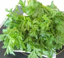 Chinese chrysanthemum greens
