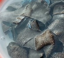 Bull Tripe in a Bowl