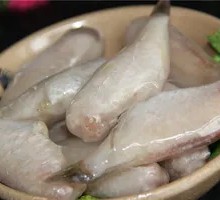 Snakehead Fish
