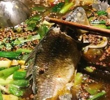 Wild Crucian Carp