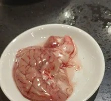 Fresh Brain Tissue