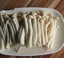 Seafood Mushroom