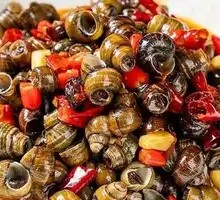 Spicy Sucking Snail