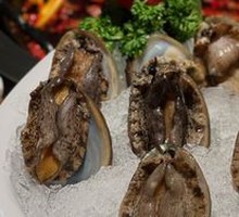 Dalian Eight-Head Abalone
