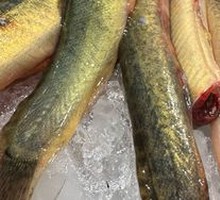 Earth Eel Stir-Fry