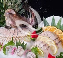 Deep-Sea Grouper