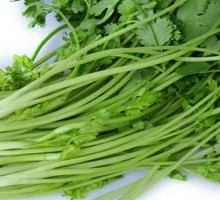 Grilled Cilantro